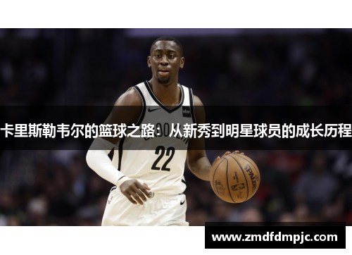 卡里斯勒韦尔的篮球之路：从新秀到明星球员的成长历程