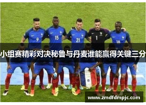小组赛精彩对决秘鲁与丹麦谁能赢得关键三分