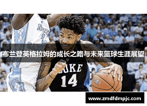 布兰登英格拉姆的成长之路与未来篮球生涯展望