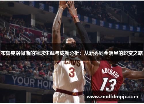 布鲁克洛佩斯的篮球生涯与成就分析：从新秀到全明星的蜕变之路