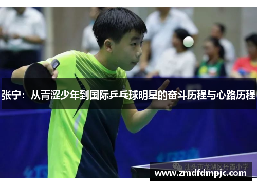 张宁：从青涩少年到国际乒乓球明星的奋斗历程与心路历程
